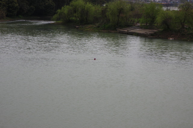 img0003.jpg