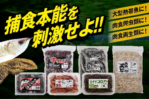ADLL60 H50 爬虫類・両生類のエサ - 爬虫類・両生類のエサ